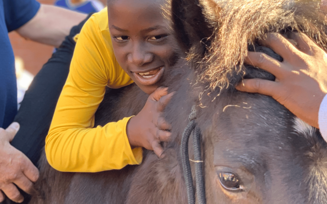 Pony Visit 2024